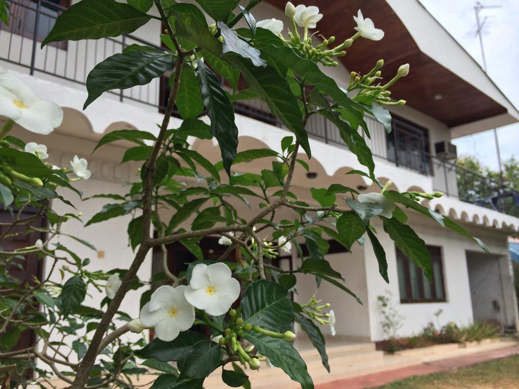 The Pallet House Dehiwala-Mont Lavinia Extérieur photo