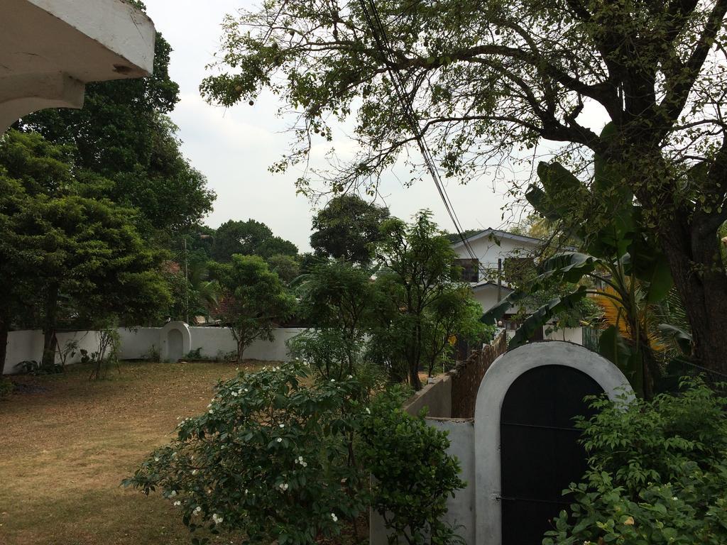 The Pallet House Dehiwala-Mont Lavinia Extérieur photo